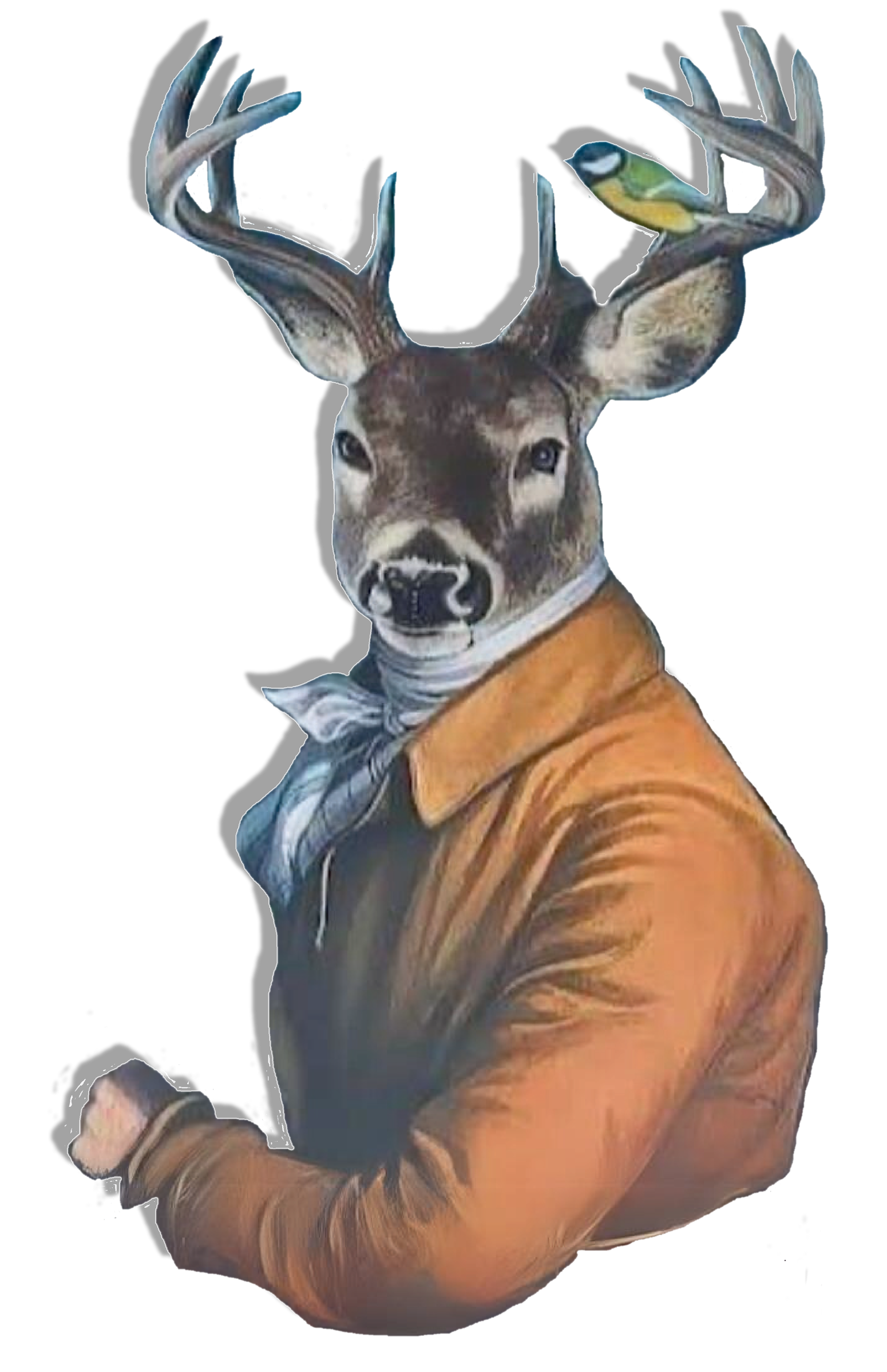 Stag Inn photo