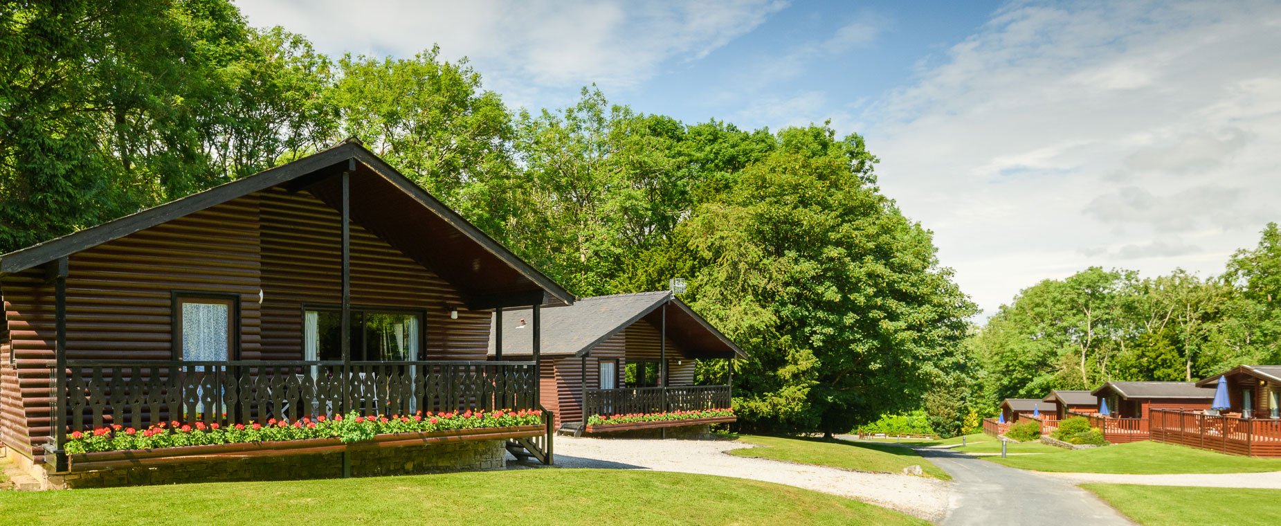 Woodlands Hotel and Pine Lodges photo