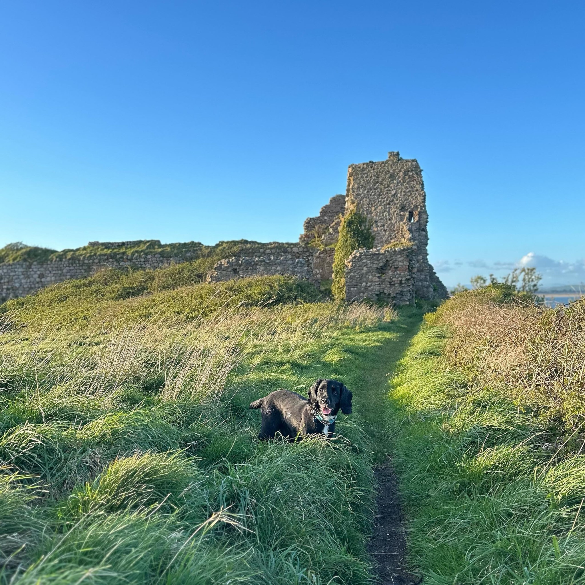 Ship Inn (Piel Island) photo