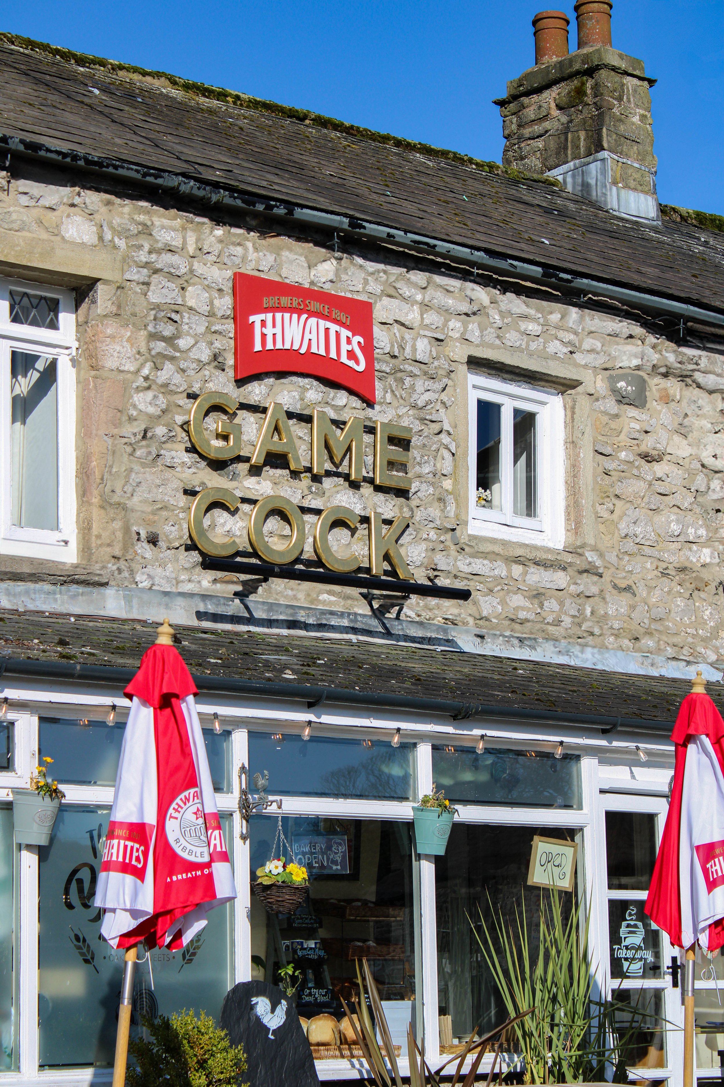 Game Cock photo
