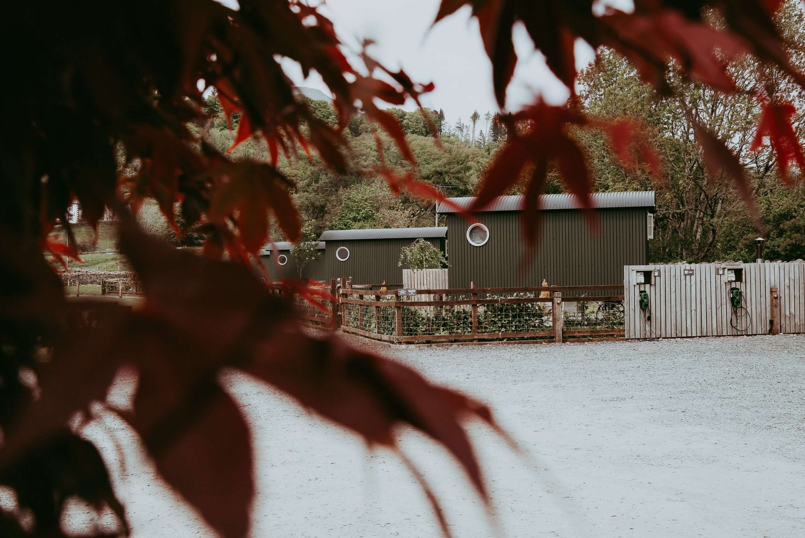 The Wilsons Arms photo