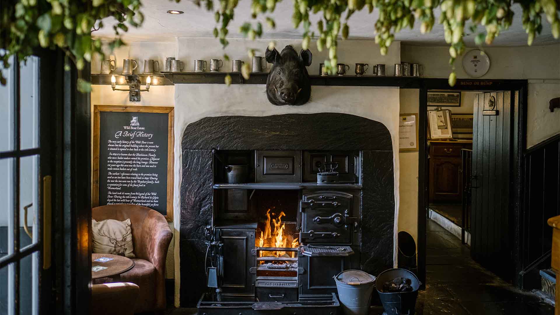 Wild Boar photo