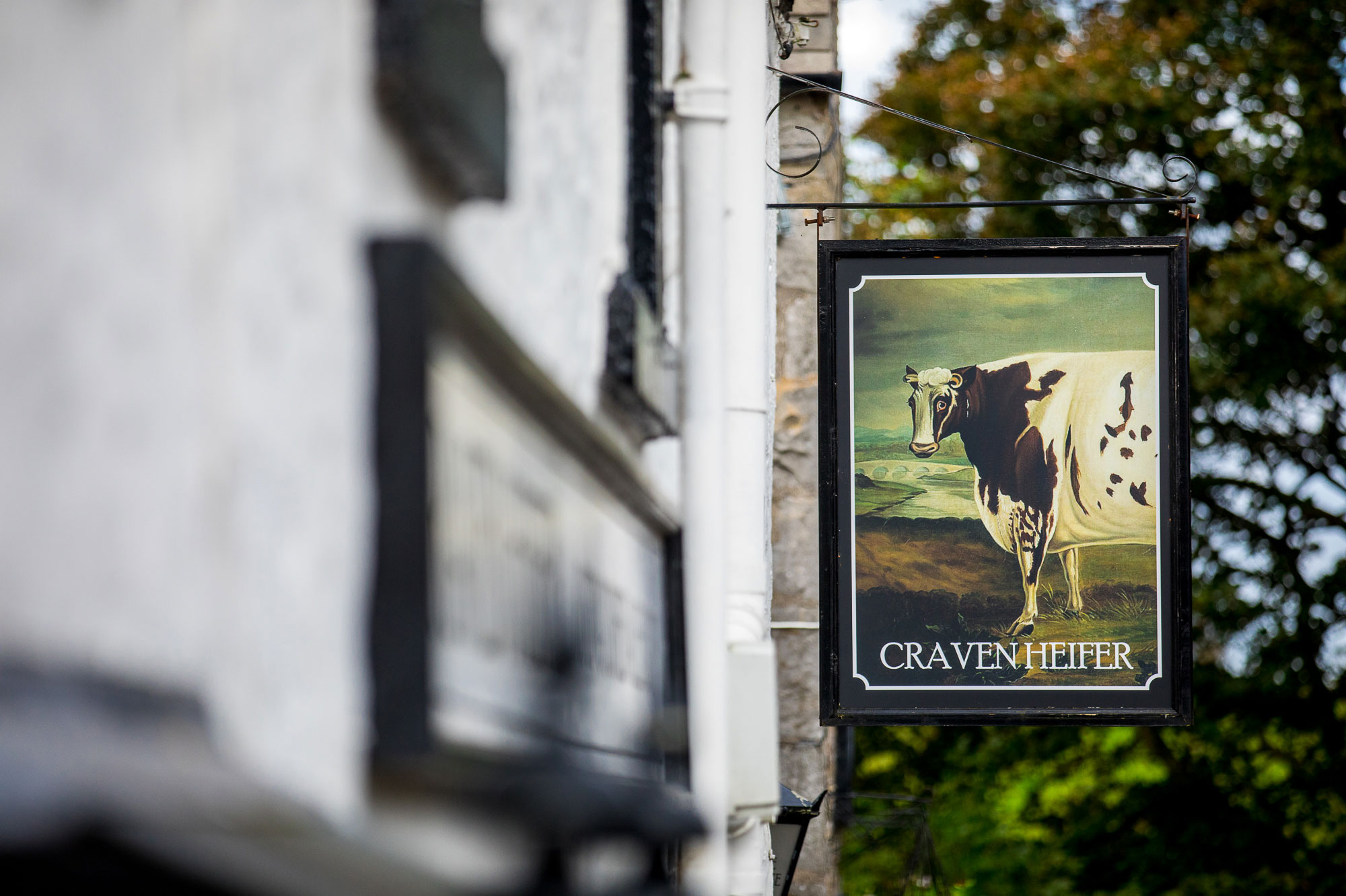 The Craven Heifer photo