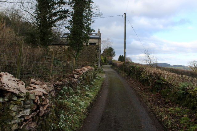 The Tavern at Hale photo