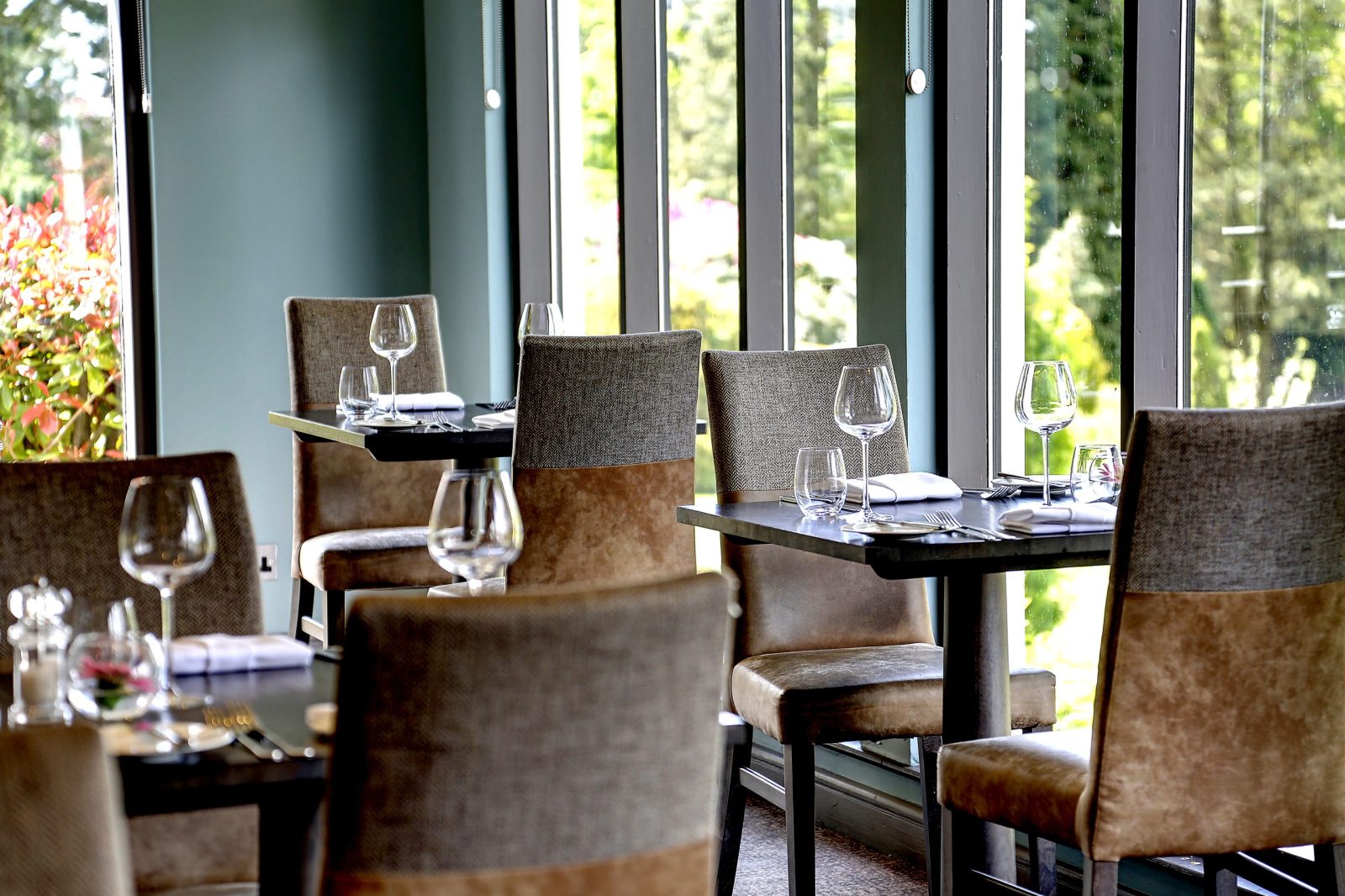 Greenhouse Bar (Castle Green Hotel) photo