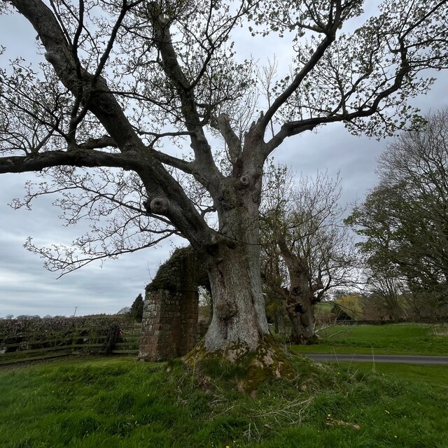 Abbey Farm House photo