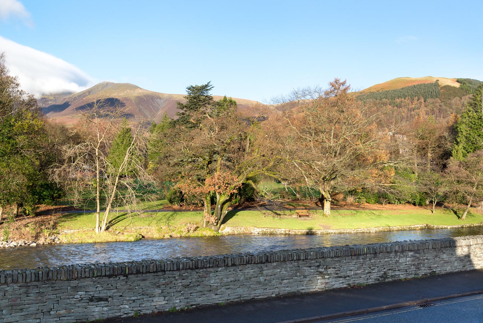 Bramblewood photo