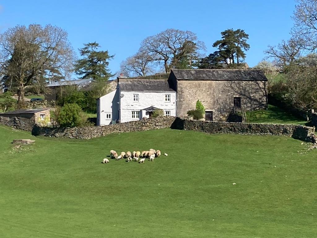 Drawell Cottage photo