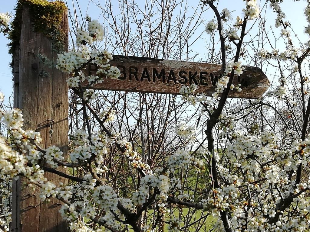 Drawell Cottage photo