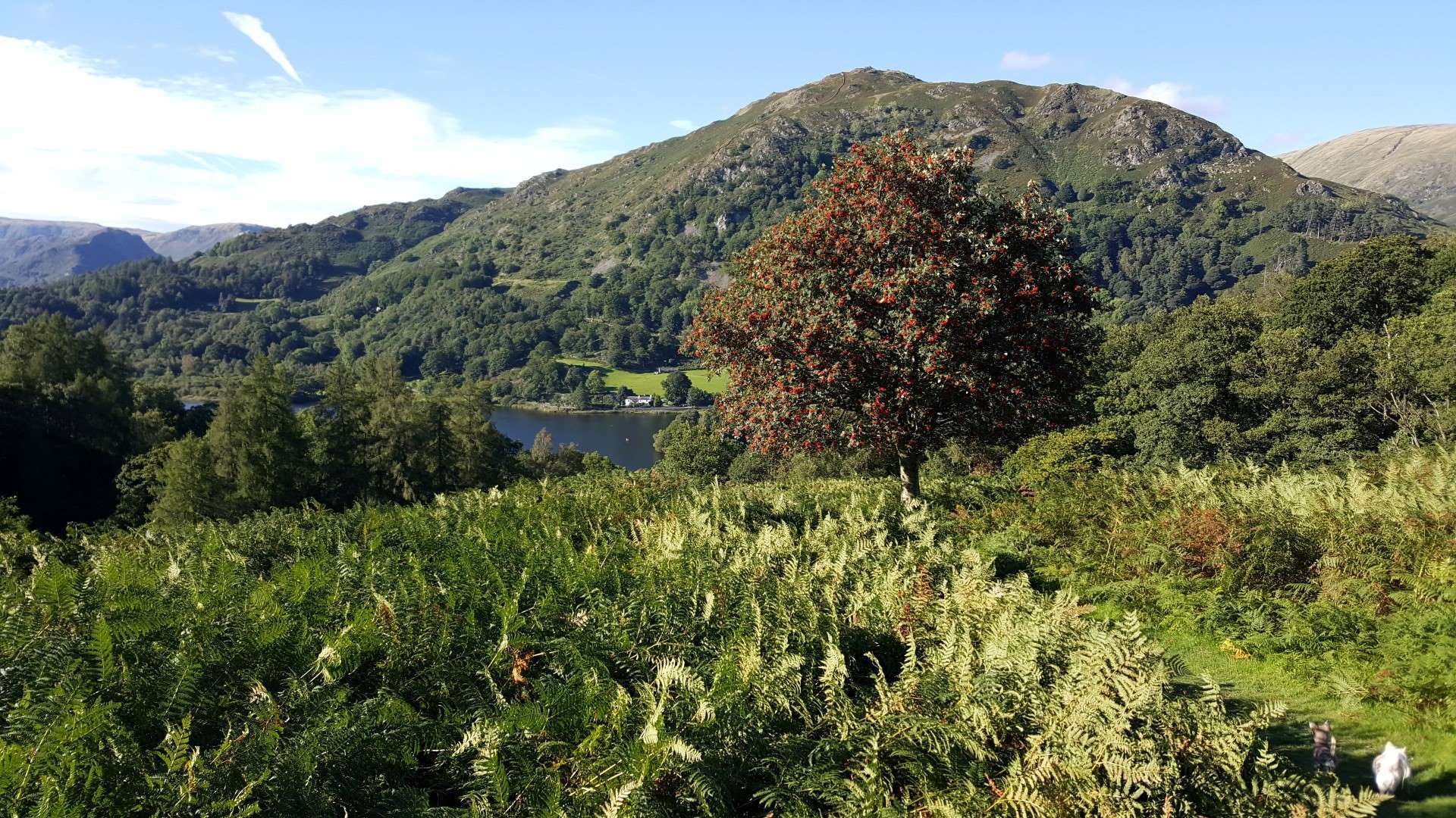 Foxghyll Guest House photo
