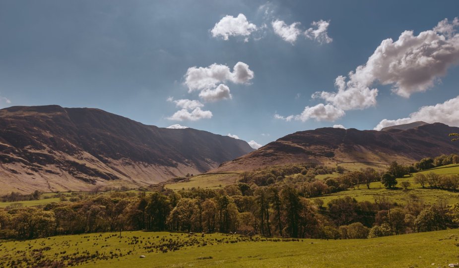 Gill Brow Farm photo