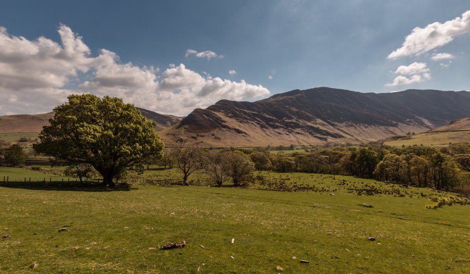 Gill Brow Farm photo