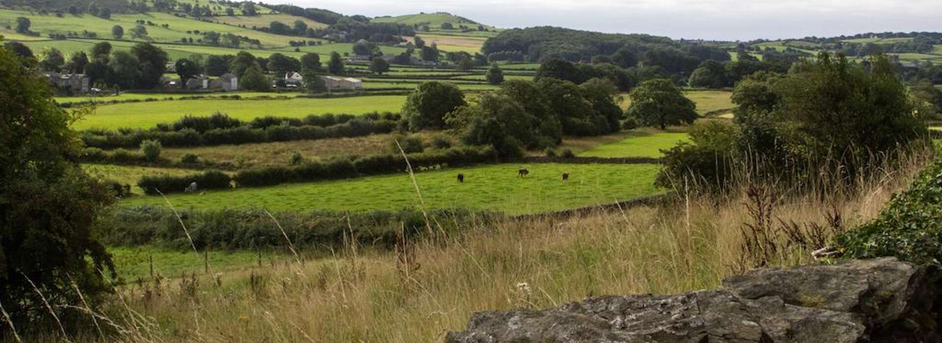 Greenbank Farm photo