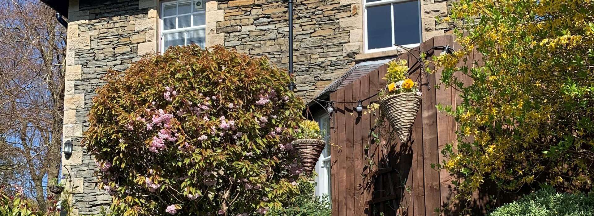 Ivythwaite Lodge photo