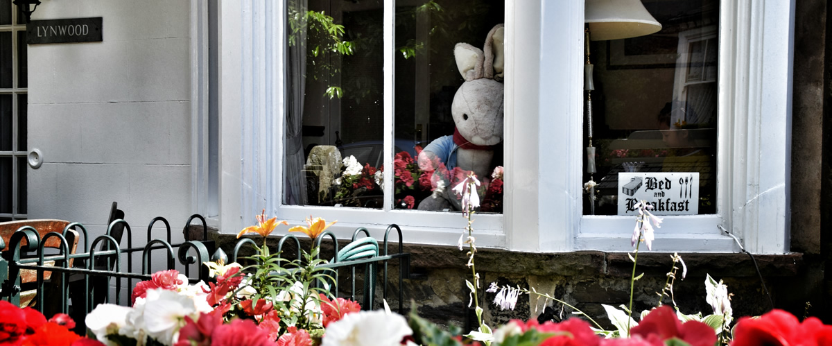Lynwood Guest House photo