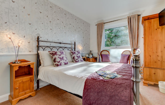 Meadfoot Guesthouse photo