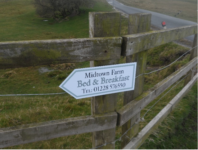 Midtown Farm photo
