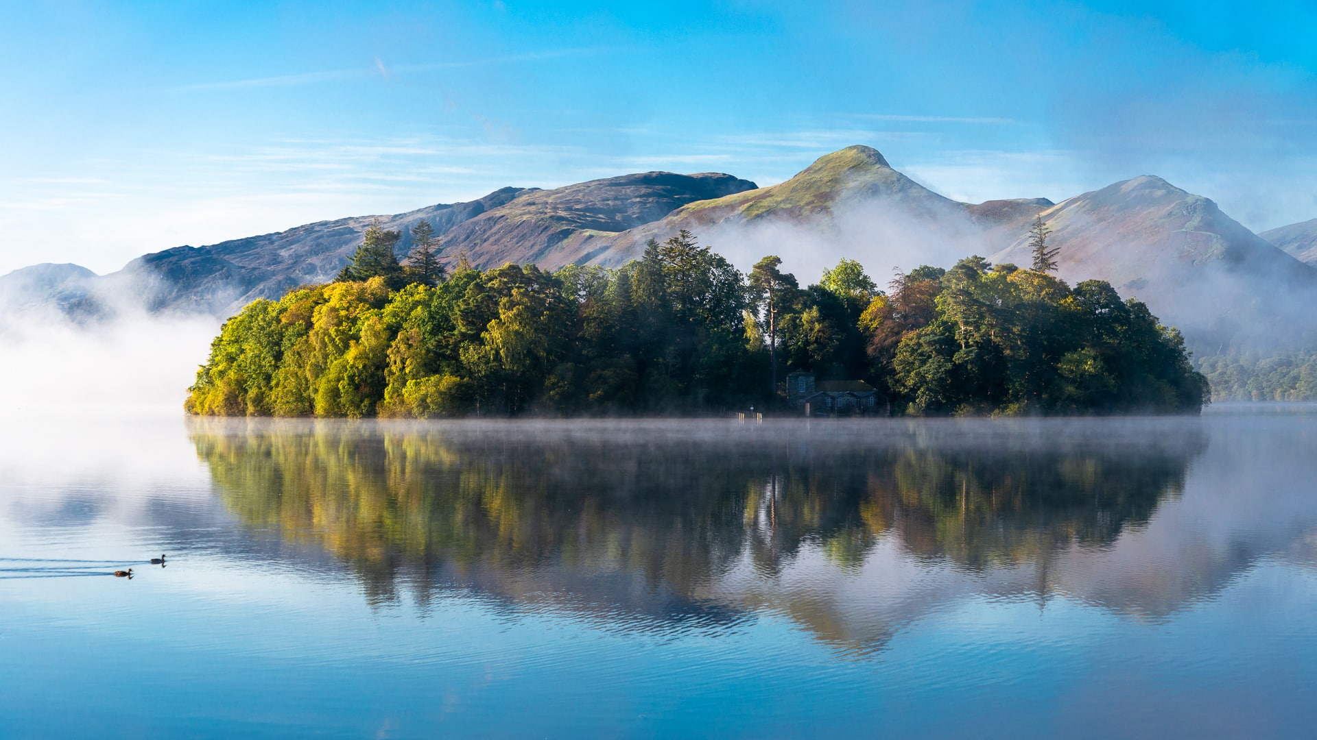 The Mount photo