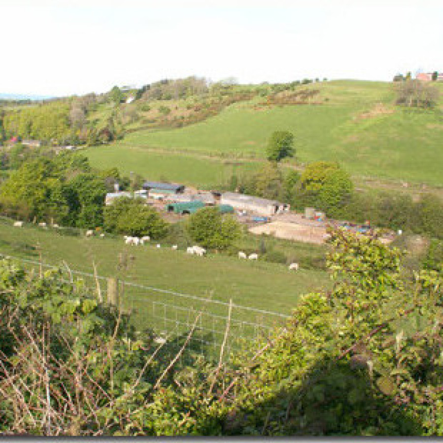 Bleng Barn Cottage photo