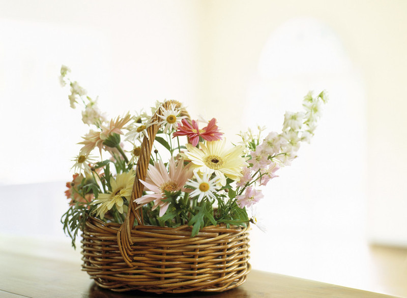 Bleng Barn Cottage photo