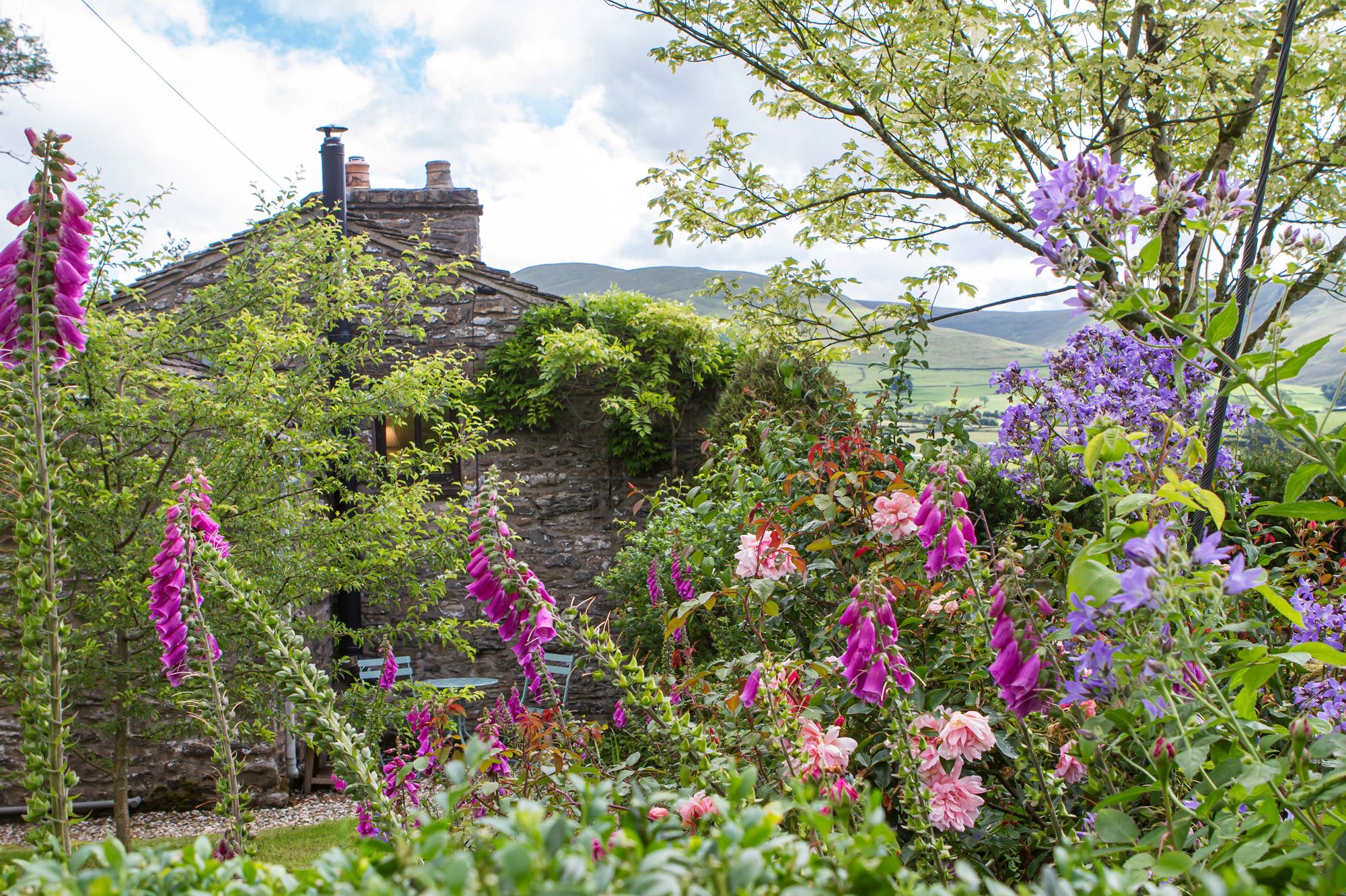 Bluebell Cottage photo
