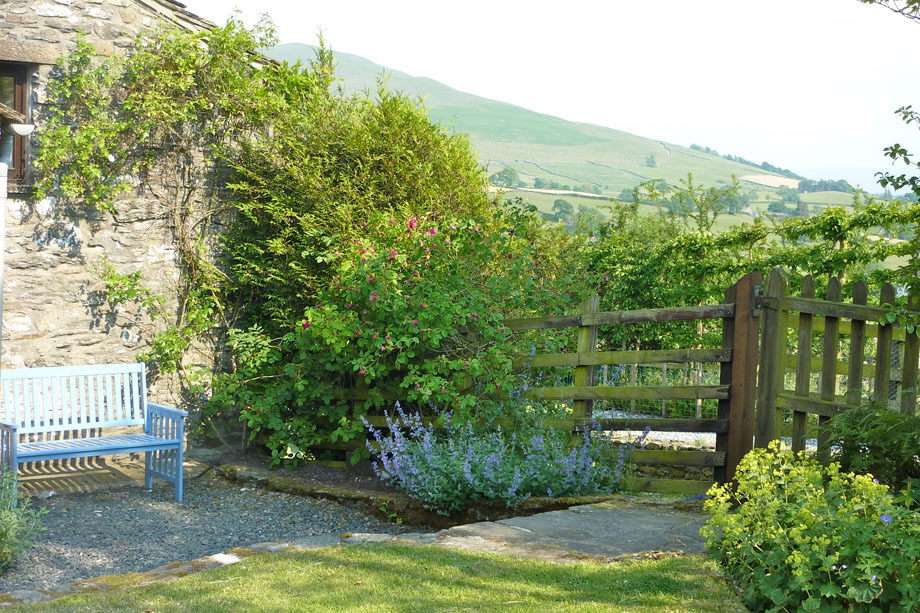 Bluebell Cottage photo