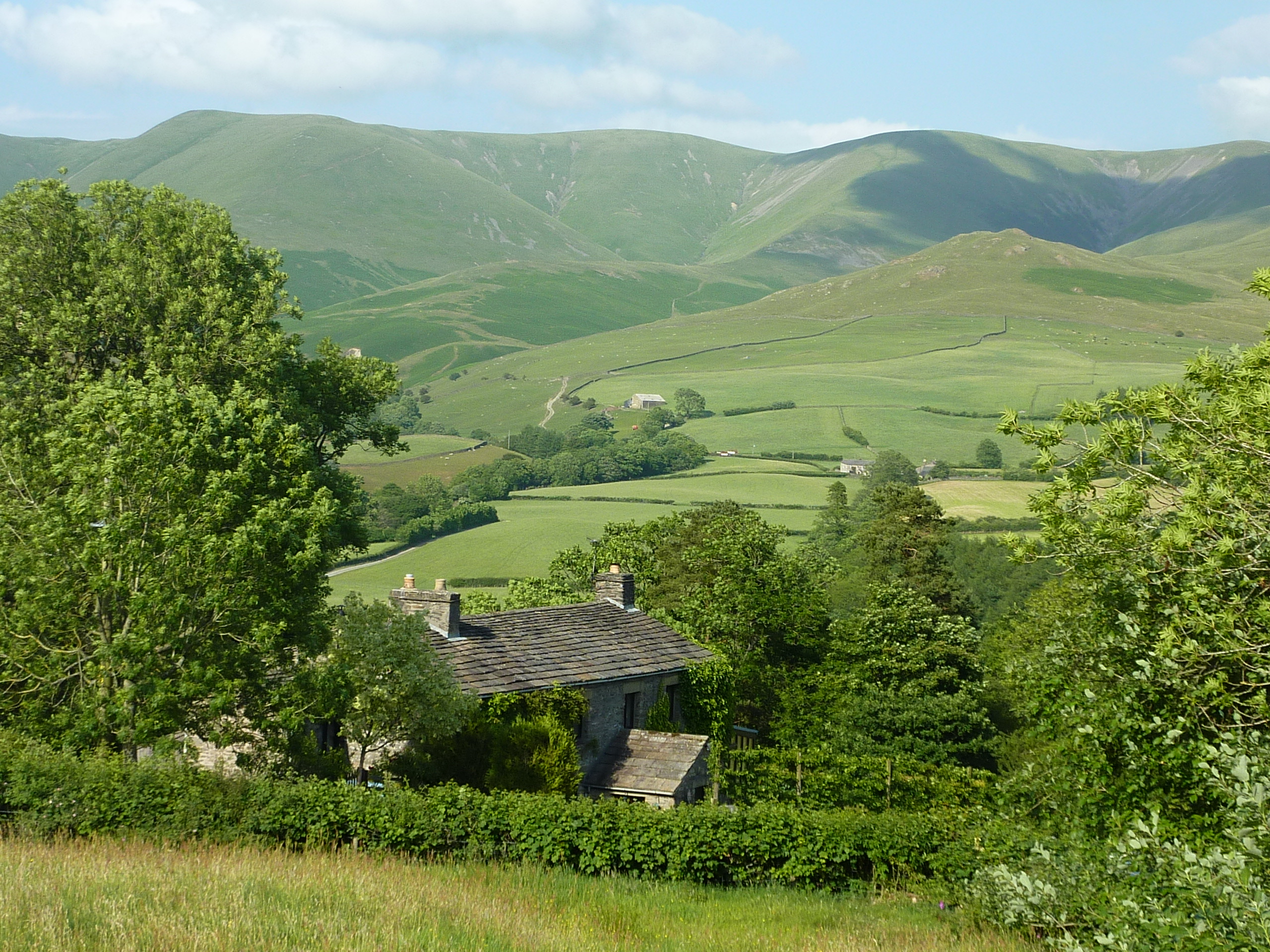Bluebell Cottage photo