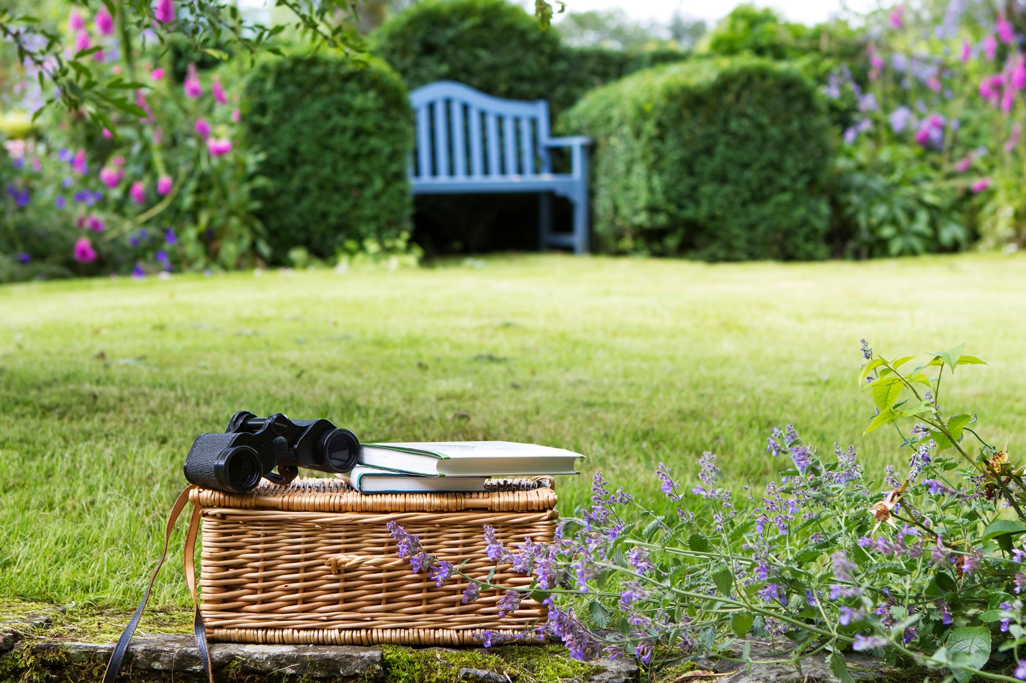 Bluebell Cottage photo