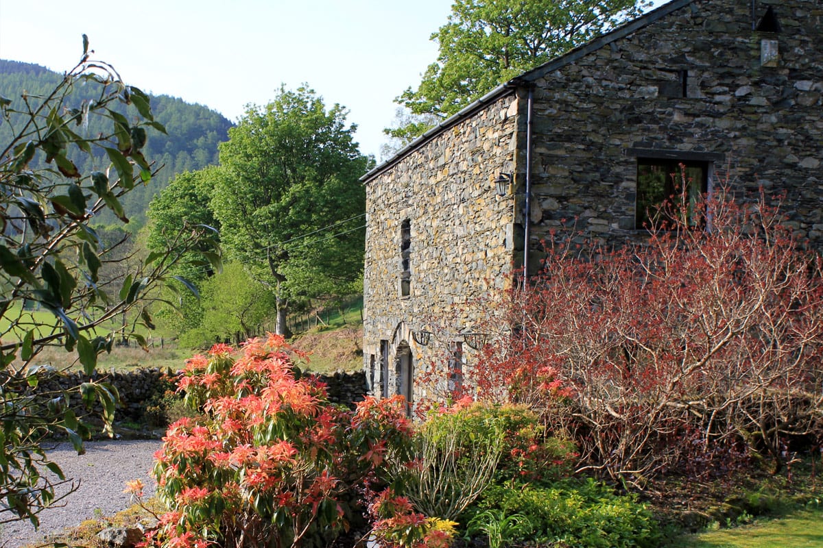 Brackenrigg Cottages photo