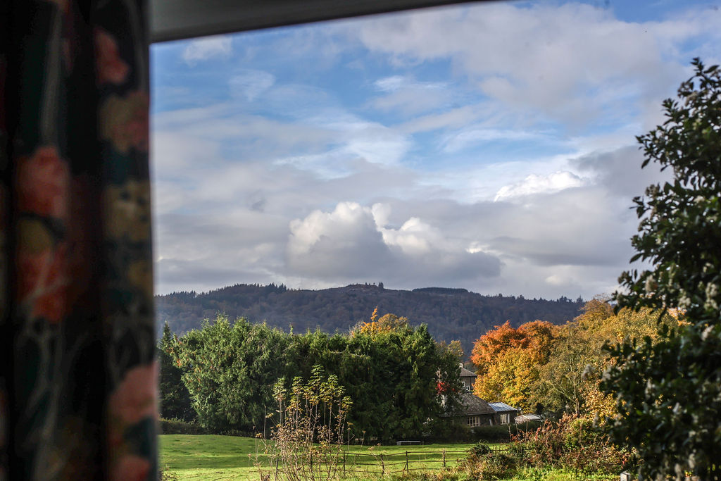 Fair Rigg By Cradel Haus photo