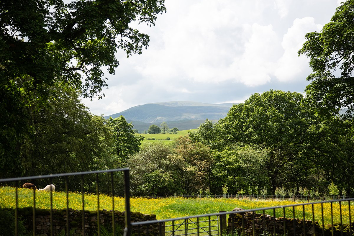 Hebblethwaite Hall Farm photo