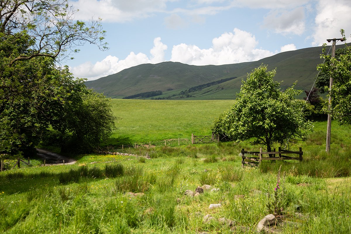 Hebblethwaite Hall Farm photo