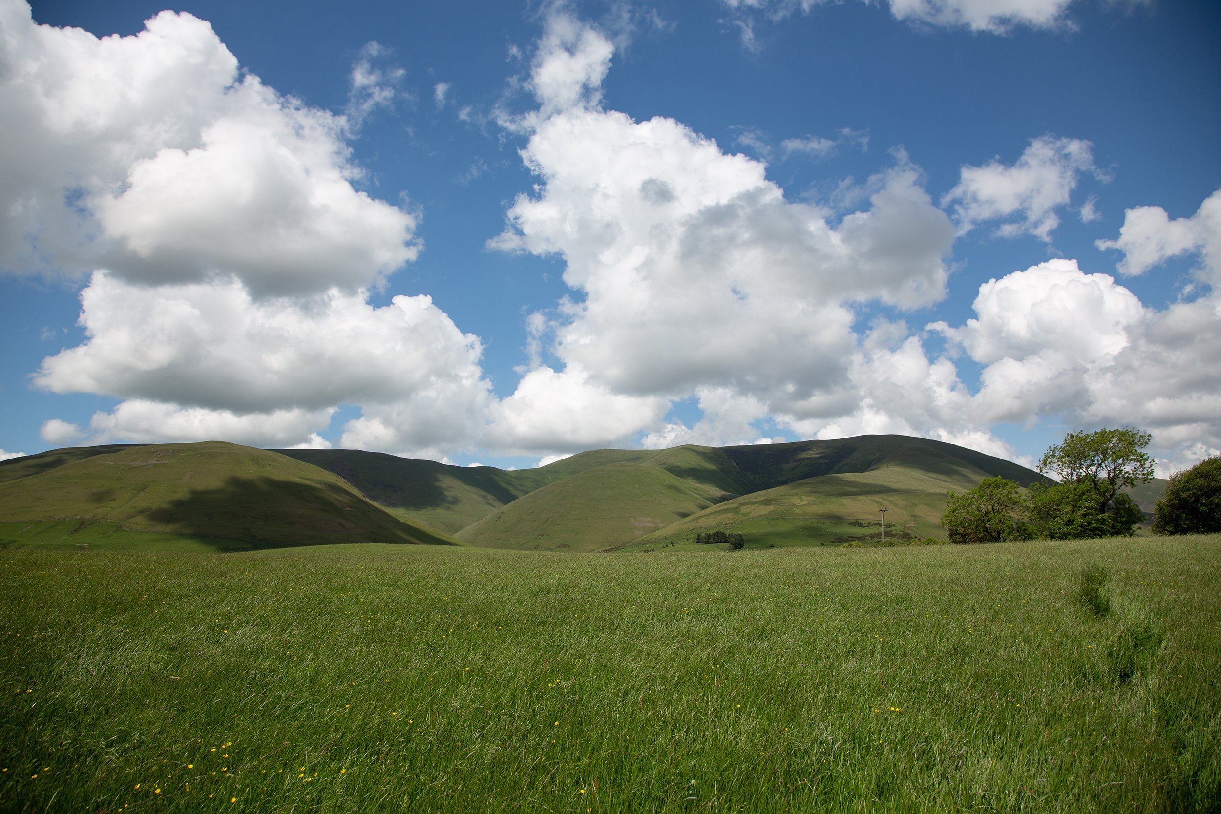 Hebblethwaite Hall Farm photo