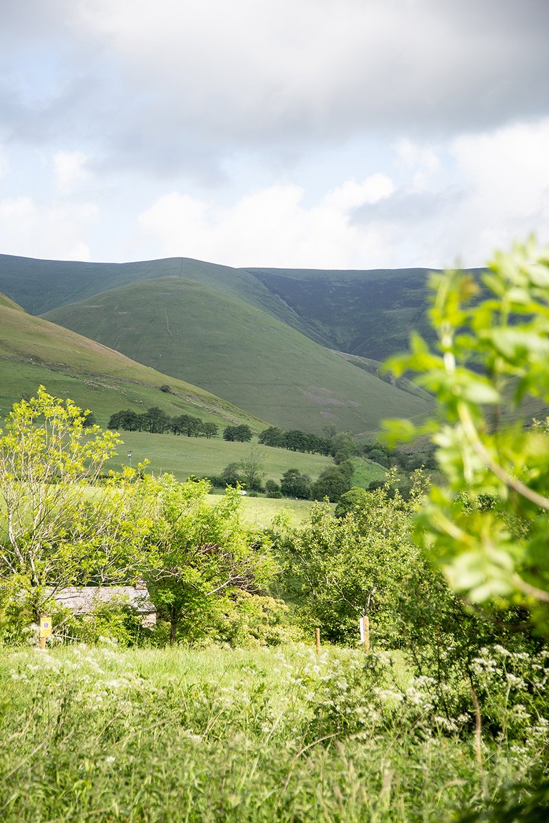 Hebblethwaite Hall Farm photo