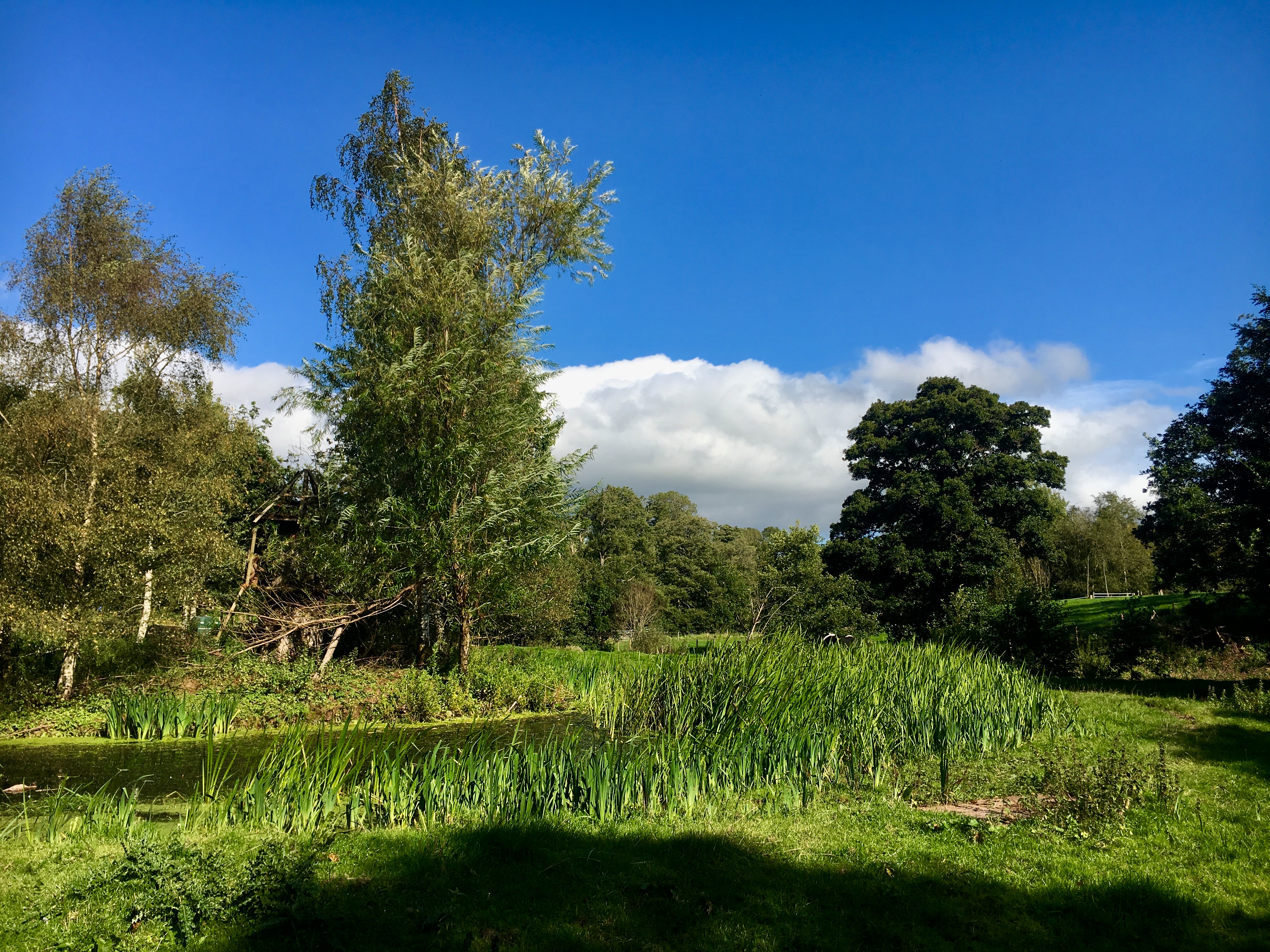 Keepers Cottage photo