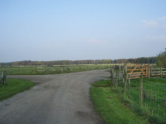 North Lakes Lodges photo