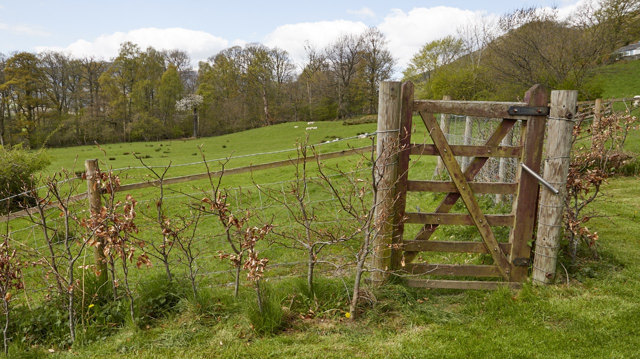 Orchard House & Derwent Lea photo