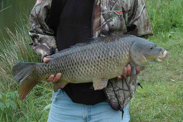 Redwell Fisheries and Apartments photo