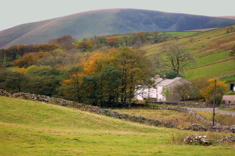 Sandbed Cottage photo