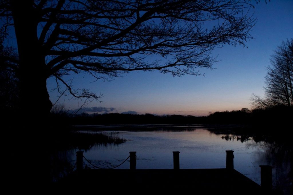 The Tranquil Otter photo