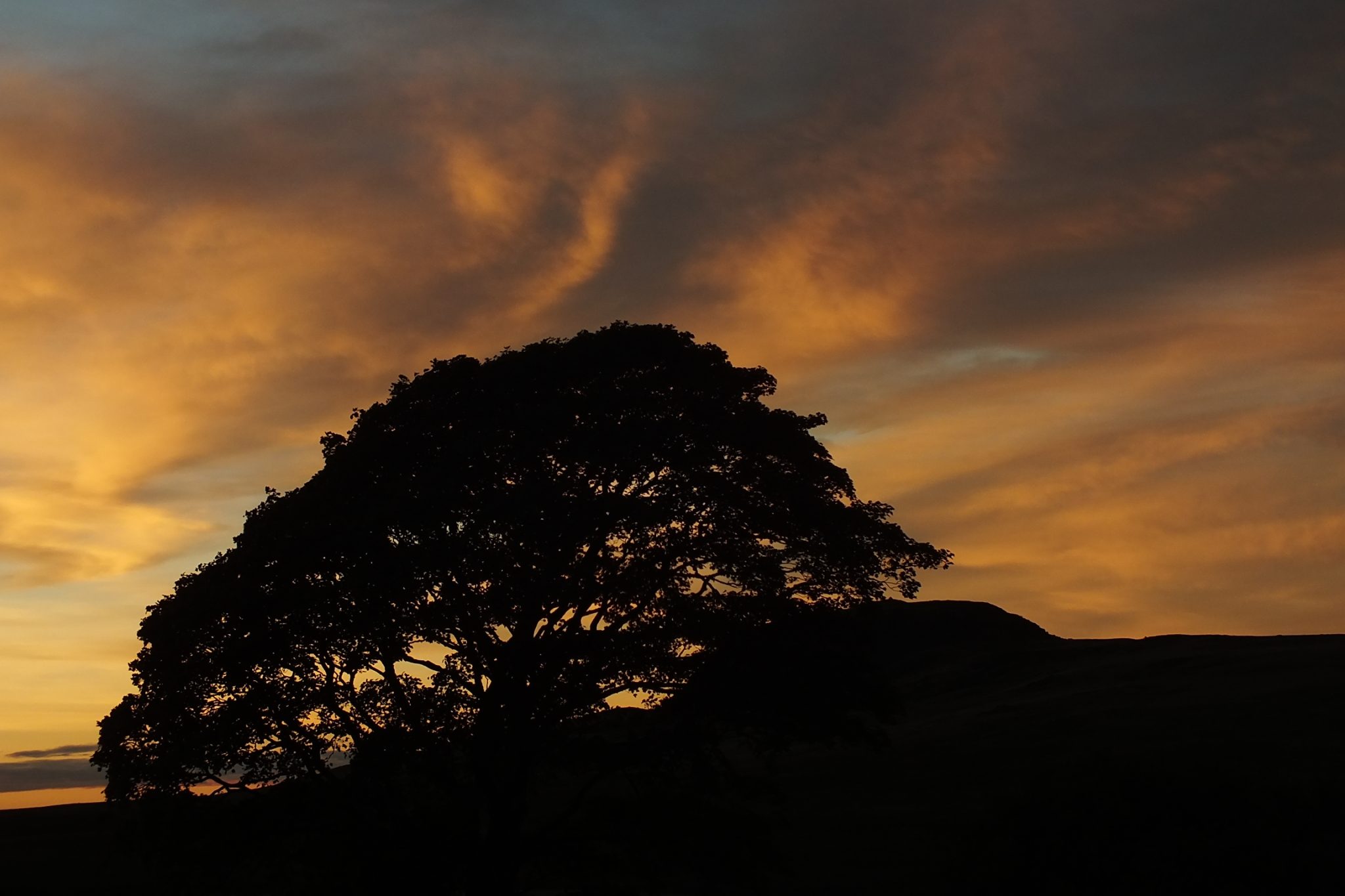 Woodend photo