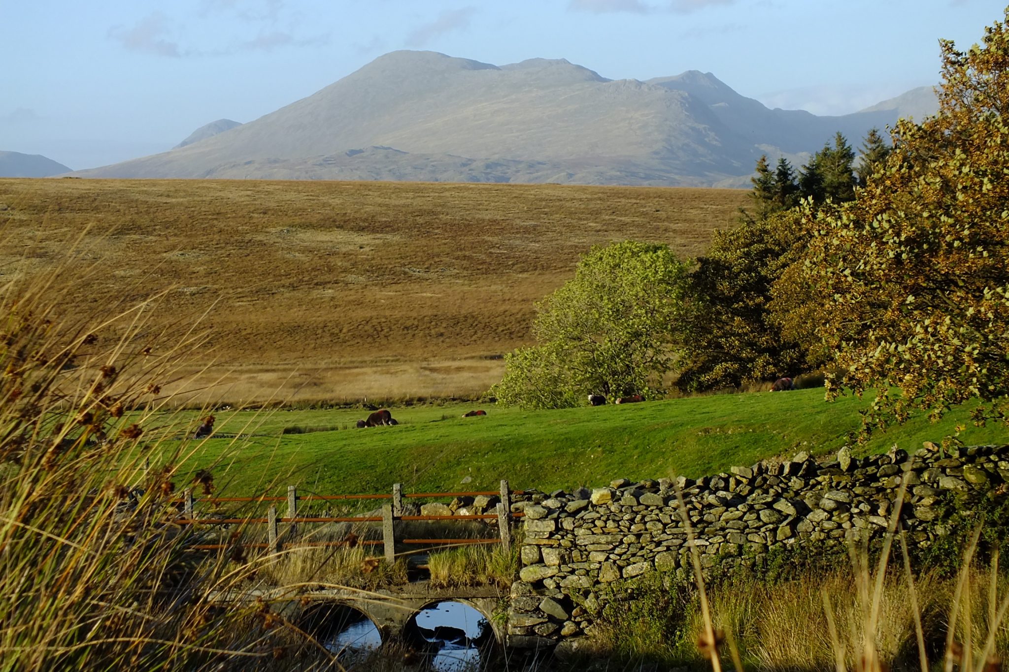 Woodend photo