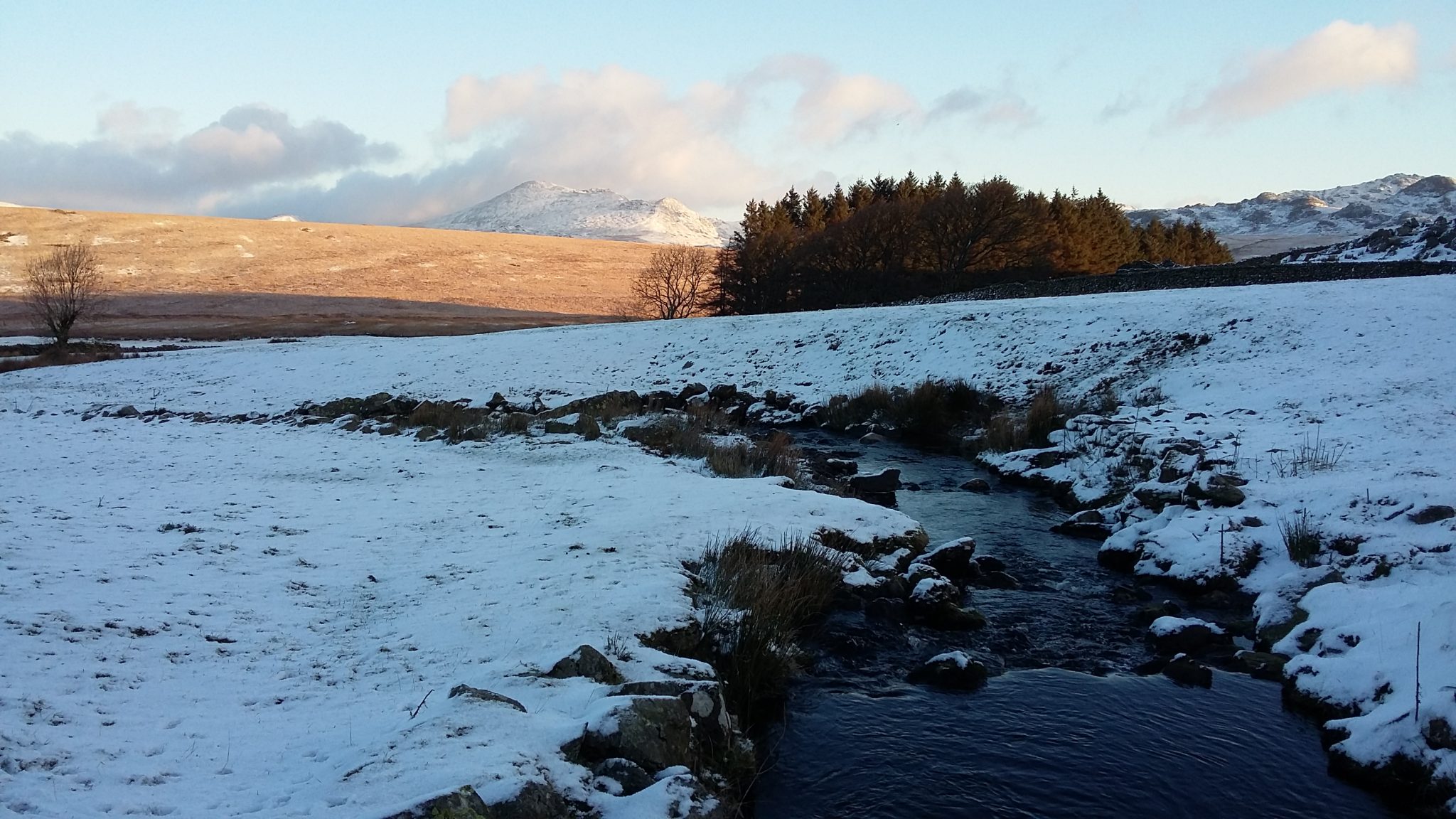 Woodend photo