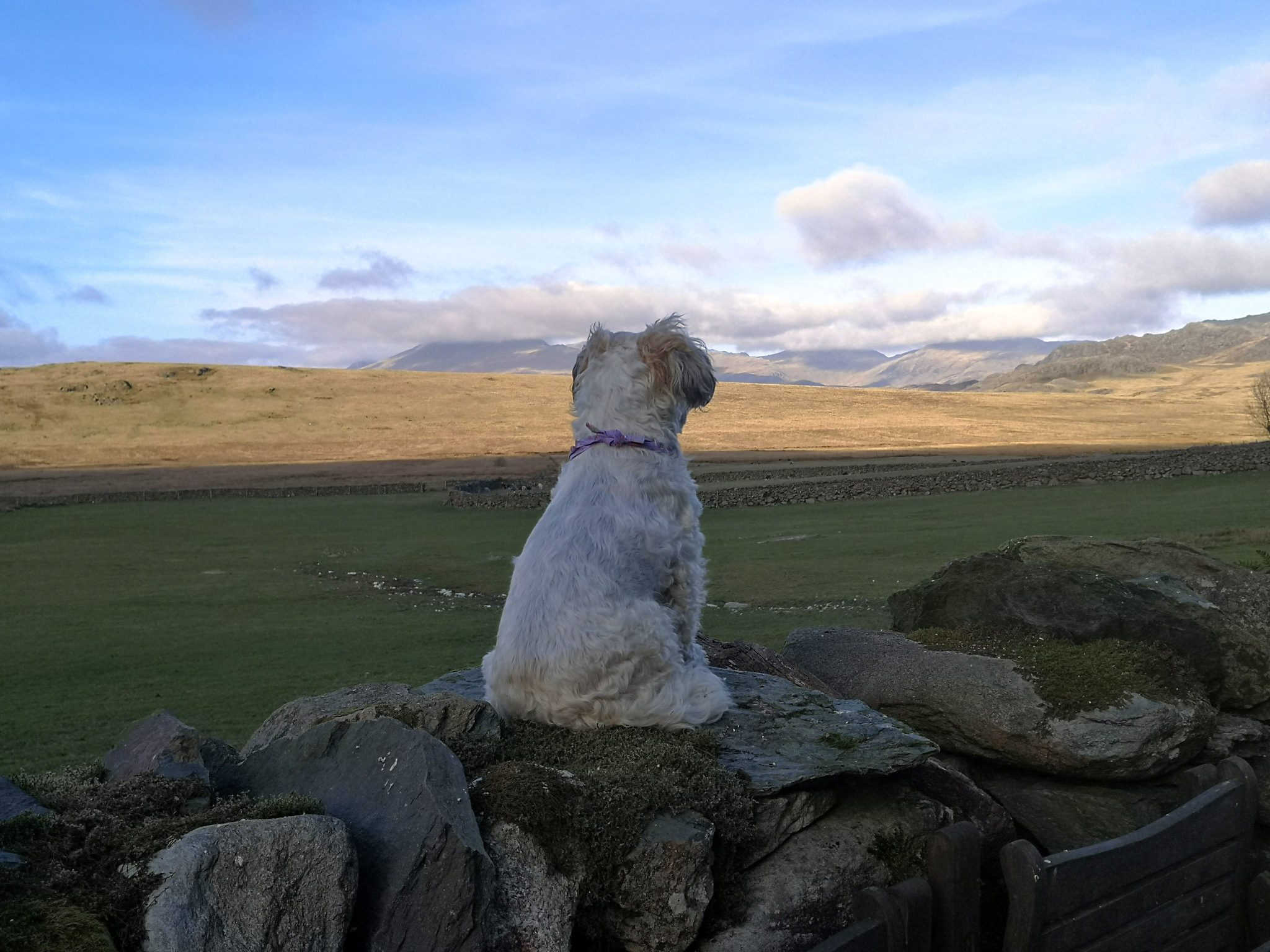 Woodend photo