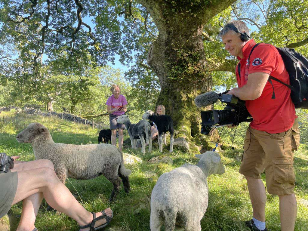 Yew Tree Farm photo