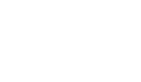 The Brown Horse Inn photo