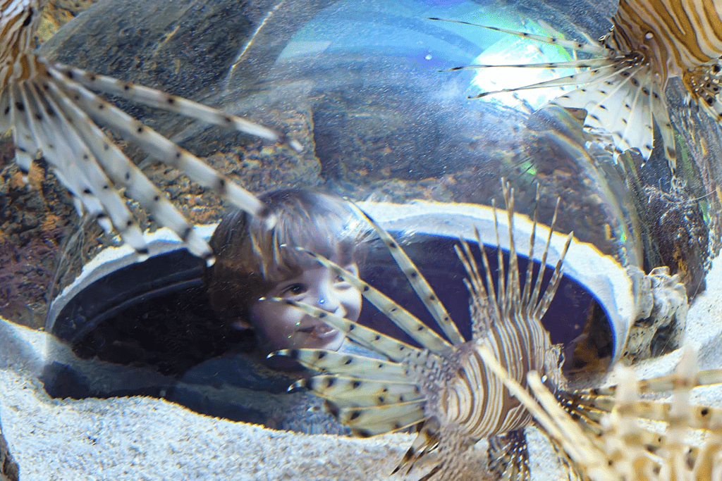 Lakes Aquarium photo