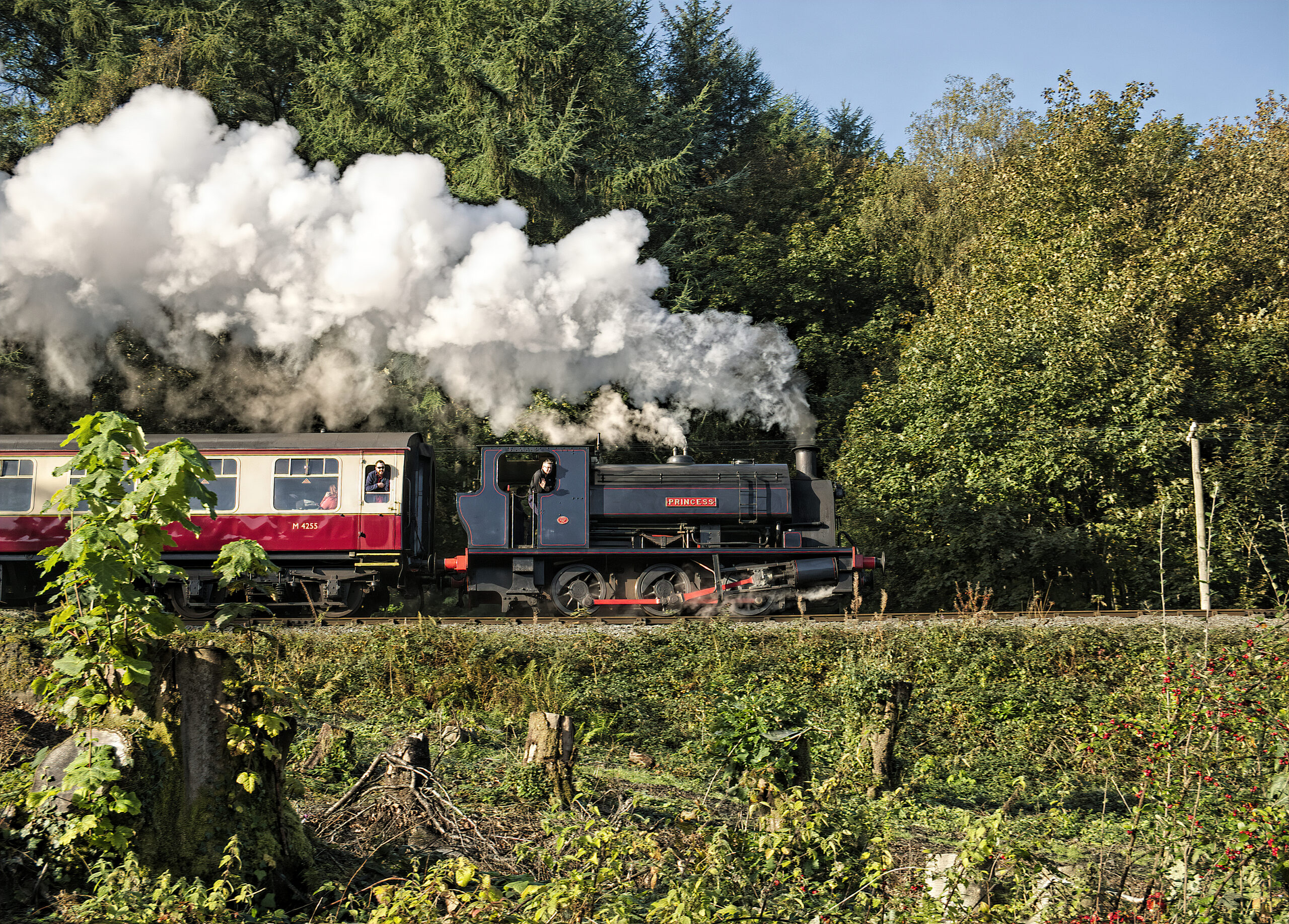 Lakeland & Haverthwaite Railway photo