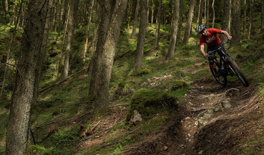 Go Ape Grizedale (Treetop Challenge, Zip Trek, Segways, High Ropes) photo