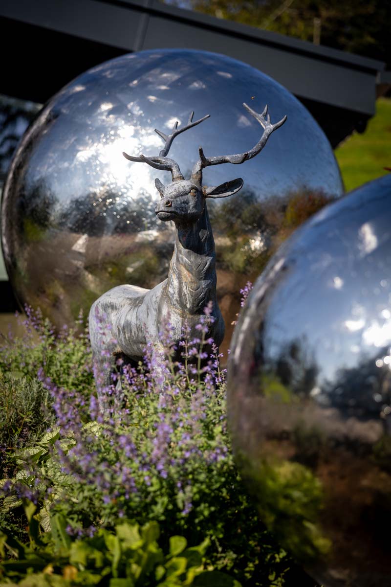Black Beck Holiday Park photo